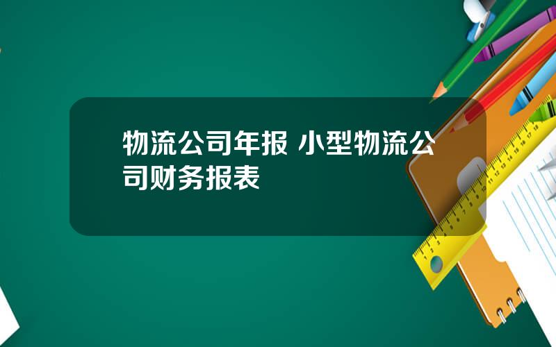 物流公司年报 小型物流公司财务报表